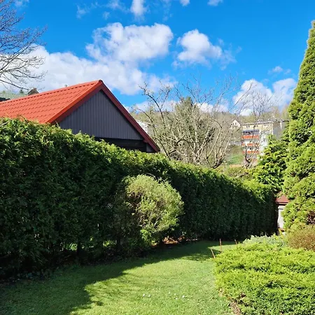 W Centrum Piwnicznej *